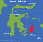 005_General_Maps-Sulawesi-w-Wakatobi-arrow.jpg