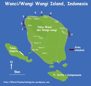 Indo_Wakatobi_049_Wanci-Island_MAP-MAIN.jpg