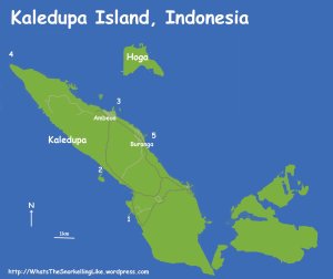 300_Kaledupa-Map-jpg.jpg